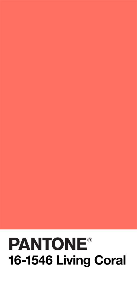 colore living coral prada|pantone coral color.